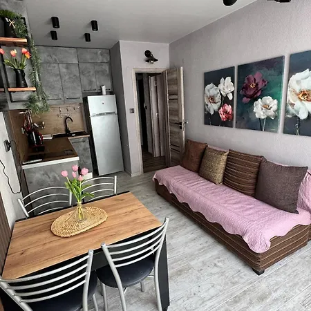 Apartman Urban Bloom